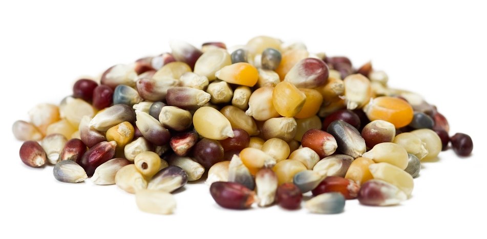 product image zoom