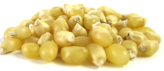 product image zoom