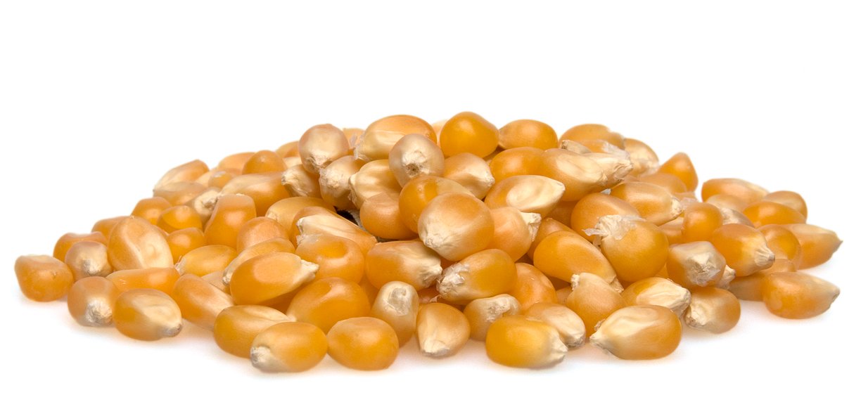 Diskriminere Portico sandsynlighed Popcorn Kernels - Cooking & Baking - Nuts.com